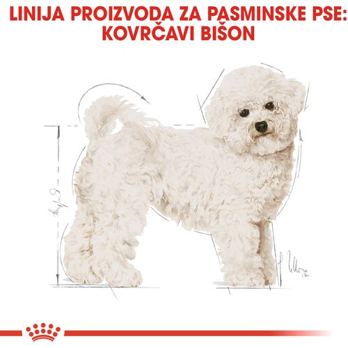 ROYAL CANIN BHN Bichon Frise Adult, potpuna hrana za odrasle pse pasmine Bishon Frise (starije od 10 mjeseci), 1,5 kg  slika 4