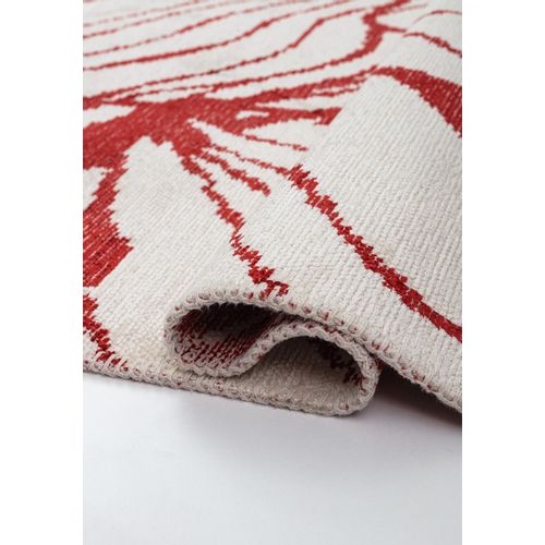 Tepih CLOVE RED, 240 x 340 cm slika 3