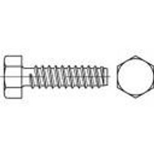 TOOLCRAFT 144620 vijci s šesterokutnom glavom za lim 4.8 mm 19 mm vanjski šesterokutni DIN 7976 čelik galvansko pocinčani 250 St.