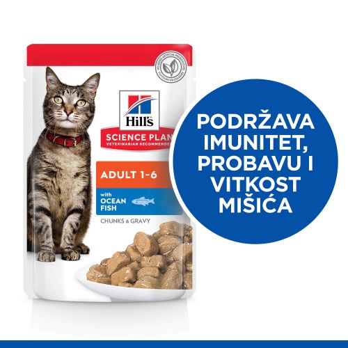 Hill's Science Plan Adult Hrana za Mačke s Oceanskom ribom, 85 g slika 3