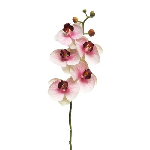 Cvet ORCHID 58cm 13015-7 - Pink - NNT slika 1