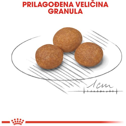 ROYAL CANIN SHN Extra Small Adult 8+, potpuna hrana za odrasle pse jako malih pasmina (do 4 kg) starije od 8 godina, 1,5 kg slika 7