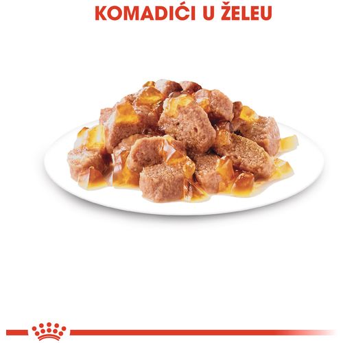 ROYAL CANIN FHN Ageing 12+ Jelly, potpuna hrana u vrećici za  odrasle mačke starije od 12 godina, komadići u želeu, 12x85 g slika 7