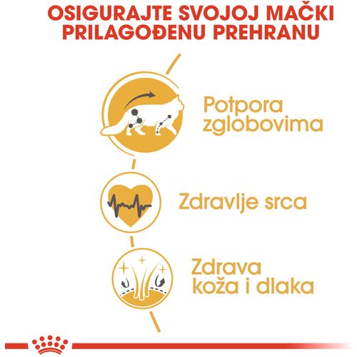 ROYAL CANIN FBN Maine Coon, potpuna i uravnotežena hrana za mačke, specijalno za odrasle mačke pasmine Maine Coon starije od 15 mjeseci, 4 kg slika 7