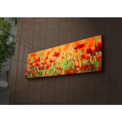 3090İACT-13 Multicolor Decorative Led Lighted Canvas Painting slika 3