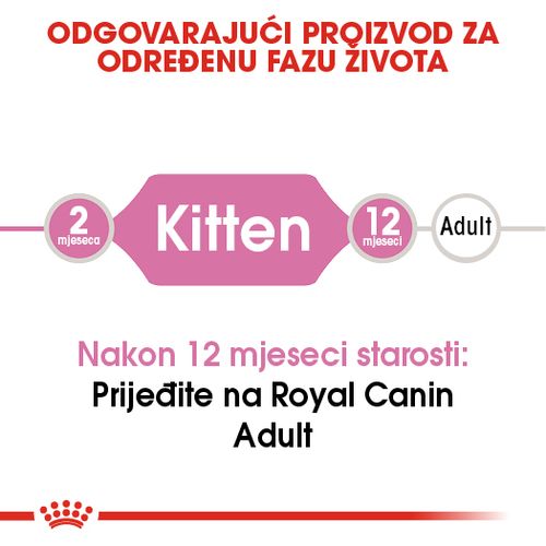 ROYAL CANIN FHN Kitten, potpuna i uravnotežena hrana za mačke, specijalno za mačiće u drugoj fazi rasta (od 4 do 12 mjeseci starosti), 10 g slika 7