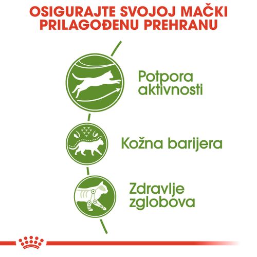 ROYAL CANIN FHN Outdoor, potpuna i uravnotežena hrana za mačke namijenjena aktivnim mačkama koje žive pretežno na otvorenom, 2 kg slika 5