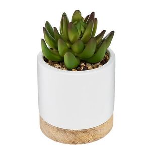 Atmosphera umjetno cvijeće succulent u keramičkoj posudi 12cm