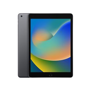 Apple iPad 9th Gen 10.2 inch A13 WiFi 256GB Space Gray (fk2n3ll/a)