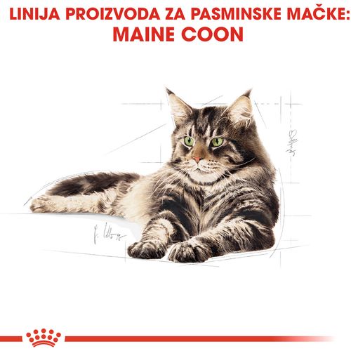 ROYAL CANIN FBN Maine Coon, potpuna i uravnotežena hrana za mačke, specijalno za odrasle mačke pasmine Maine Coon starije od 15 mjeseci, 2 kg slika 5