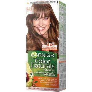 Garnier Color Naturals Farba za kosu 6.34 Chocolate