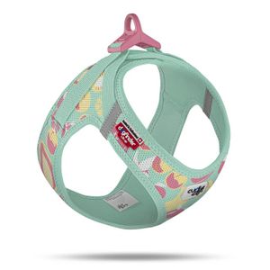 Curli oprsnica za pse Air-Mesh Juicy Fruits, tirkizna L