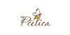 Pčelica prirodni proizvodi - Za njegu i zdravlje
