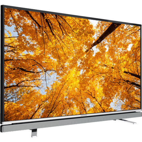 Grundig LED TV 49 VLE 6621BP slika 2