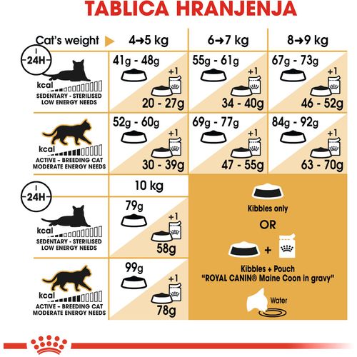 ROYAL CANIN FBN Maine Coon, potpuna i uravnotežena hrana za mačke, specijalno za odrasle mačke pasmine Maine Coon starije od 15 mjeseci, 400 g slika 4