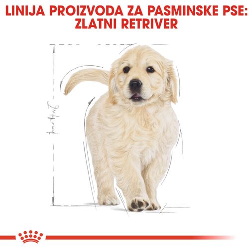 ROYAL CANIN BHN Golden Retriever Junior, potpuna hrana specijalno prilagođena potrebama štenaca golden retrivera, 12 kg slika 4