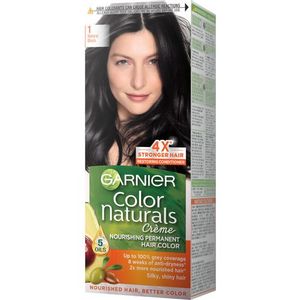 Garnier Color Naturals Farba za kosu 1 Natural Black