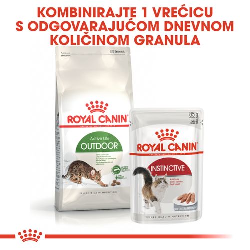 ROYAL CANIN FHN Outdoor, potpuna i uravnotežena hrana za mačke namijenjena aktivnim mačkama koje žive pretežno na otvorenom, 4 kg slika 3