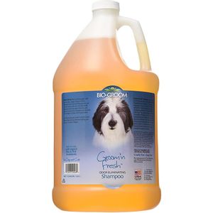 Bio-Groom  Regenerator GROOM´N FRESH gallon 3,79 l