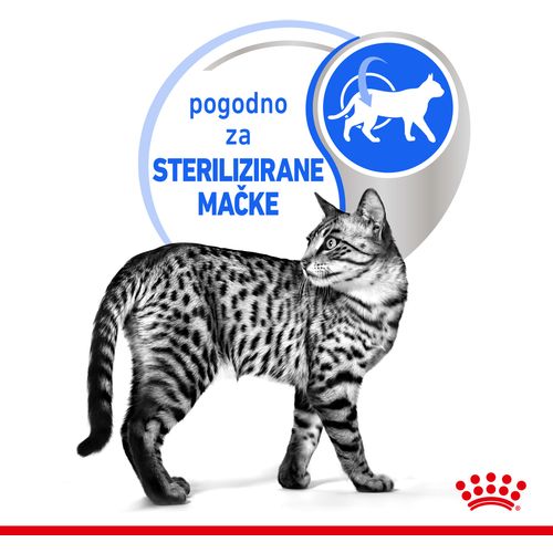 ROYAL CANIN FHN Indoor Gravy, potpuna hrana u vrećici za  odrasle mačke, za mačke koje žive u kući, komadići u umaku, 12x85 g slika 6