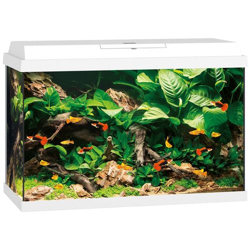 JUWEL Primo 70 Aquarium White Int slika 1