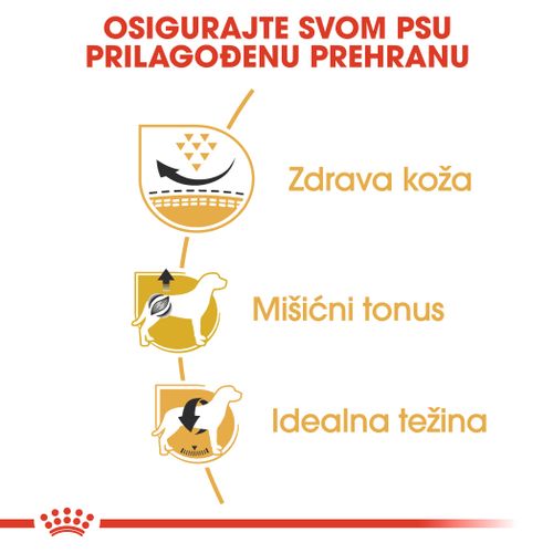 ROYAL CANIN BHN Mops Adult, otpuna hrana specijalno prilagođe na potrebama odraslih i starijih mopseva, 1,5 kg slika 6