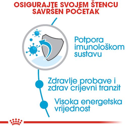 ROYAL CANIN SHN Extra Small Puppy, potpuna hrana za pse, specijalno za štence jako malih pasmina (konačne težine do 4 kg) do 10 mjeseci starosti, 500 g slika 6