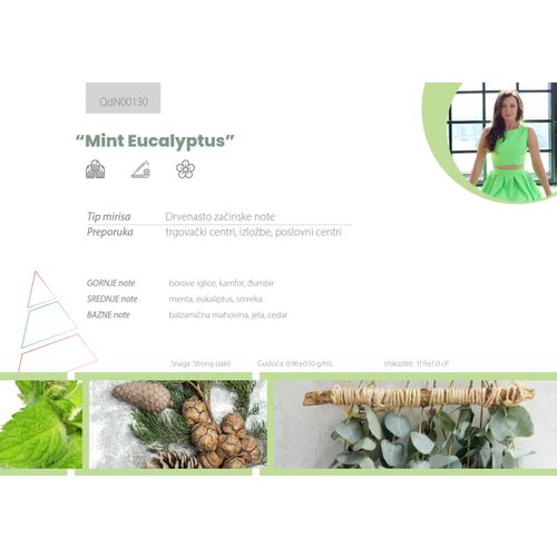 Mint & Eucalyptus (mirisno ulje 100ml) slika 2