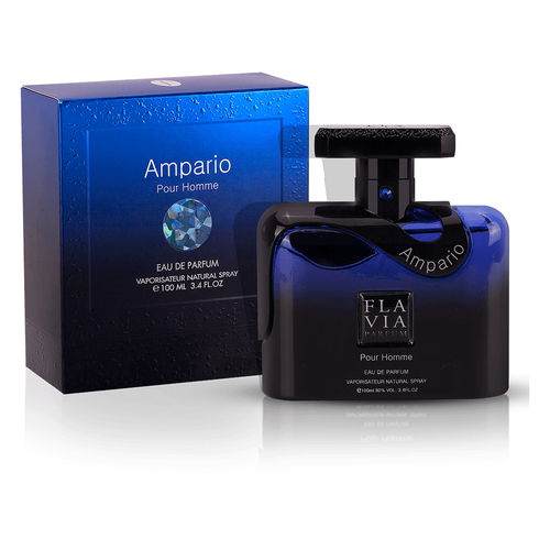 Flavia AMPARIO POUR HOMME edp 100ml slika 2