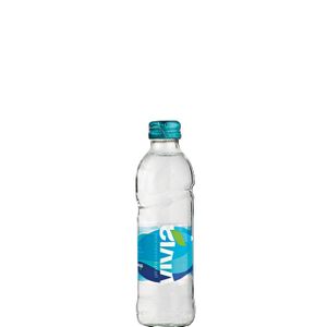 Vivia Prirodna izvorska voda 0,25L staklo