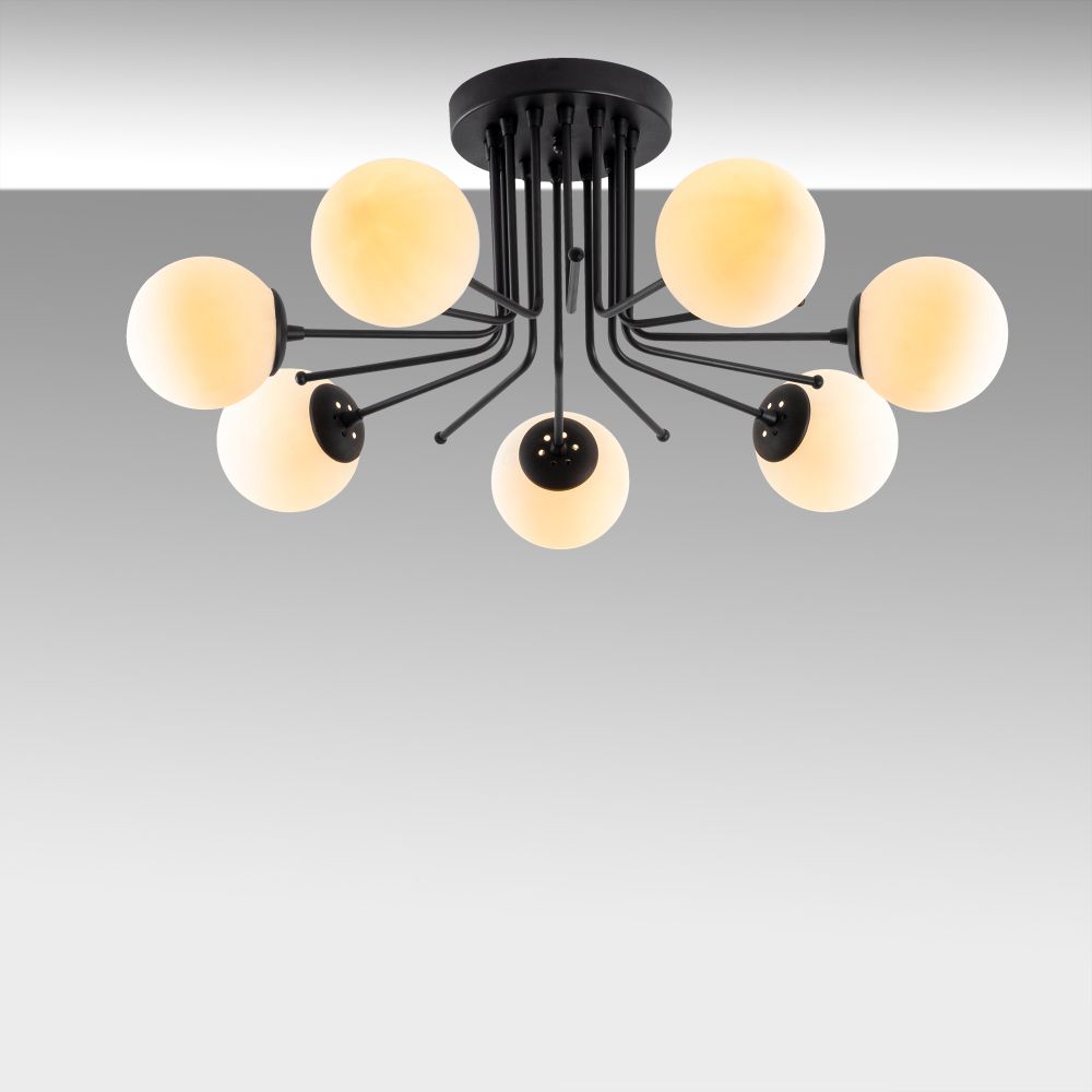 Daisy-147-AV Crni Luster slika 6