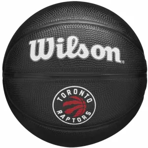 Wilson team tribute toronto raptors mini ball wz4017608xb