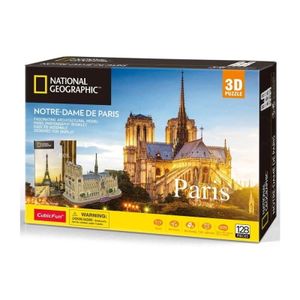Cbf209865 Cubbic Fun Puzzle Notre Dame De Paris
