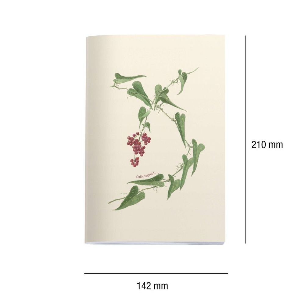 Set bilježnica Miquelrius 142x210 mm Botanical Flora Šivane (crte, čista, točkice) 3/1 MR8326 slika 4