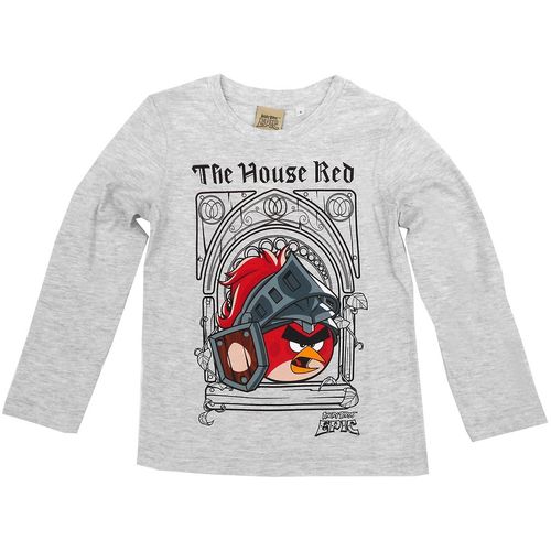 Angry Birds Epic long sleeve t-shirt : Sizes: - 116 slika 1