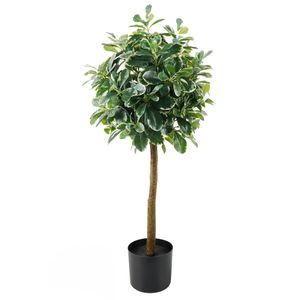 Lilium dekorativno stablo lagurus/šeflera 90cm 567285