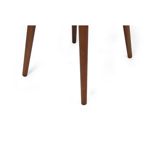 Hanah Home Dallas-550 V2 Beige
Walnut  Chair Set (2 Pieces) slika 4
