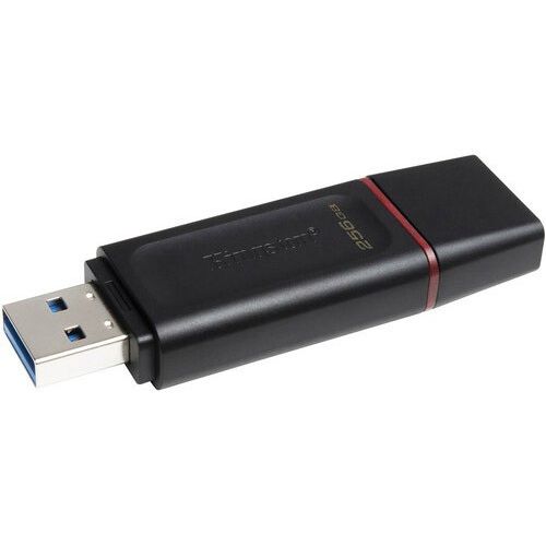 Kingston USB Flash 256GB DTX/256GB USB 3.2 slika 2