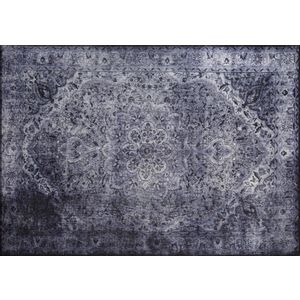 Blues Chenille - Gray AL 22  Multicolor Hall Carpet (75 x 150)