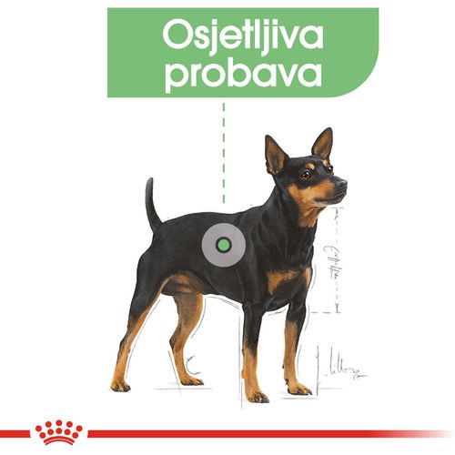 Royal Canin CCN Digestive Care Loaf, potpuna hrana za odrasle pse, 12x85 g slika 5