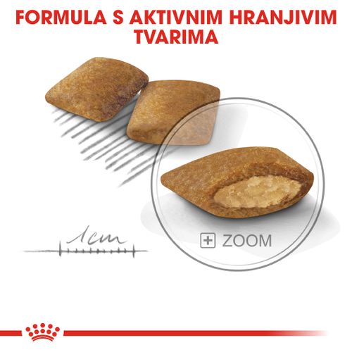 ROYAL CANIN CCN Mini Exigent, potpuna hrana za pse - Za odrasle i starije pse malih pasmina (od 1 do 10 kg) - Stariji od 10 mjeseci - Mali izbirljivi psi, 1 kg slika 7