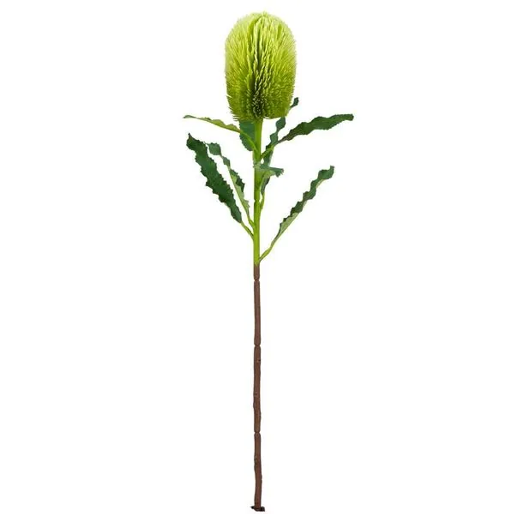 Bizzotto Dekorativni cvijet Banksia 65 cm zeleni slika 1