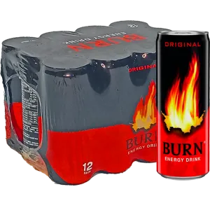 Burn Original gazirano bezalkoholno energetsko piće 0,25l 12/limenka