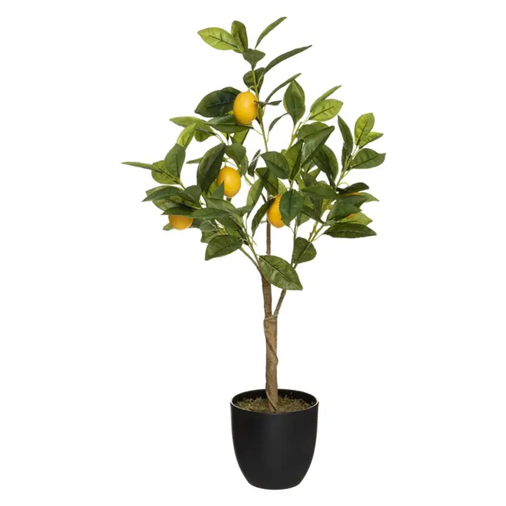 Atmosphera umjetna biljka limun 70cm slika 1