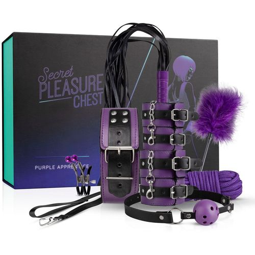 LoveBOXXX Secret Pleasure Chest - Purple Apprentice slika 22