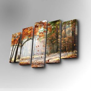 5PUC-020 Multicolor Decorative Canvas Painting (5 Pieces)