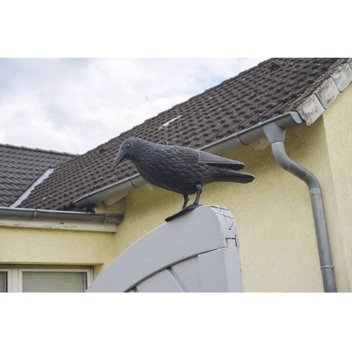 Gardigo crow ukrasni gavran za zastrašivanje golubova Vrsta funkcije odvraćanje  1 St. slika 3