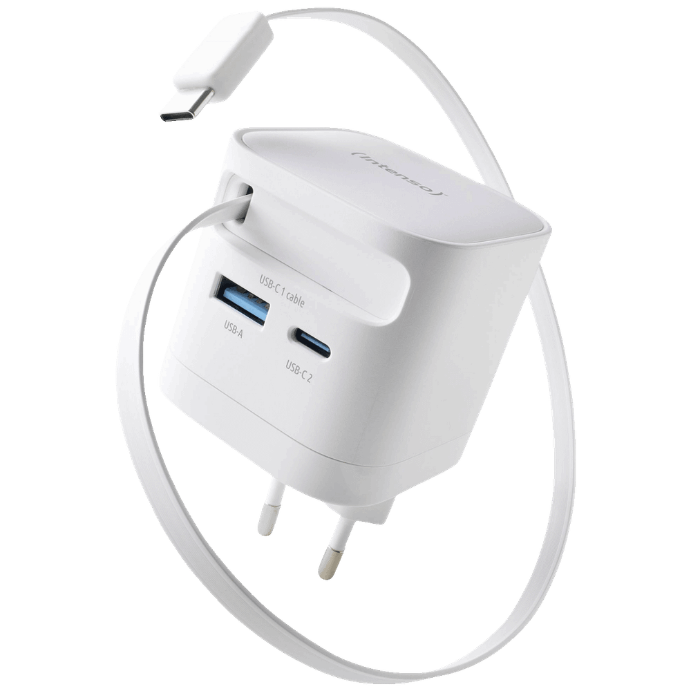 (Intenso) Punjač kučni sa type C kabelom / Power Adapter W65ACIC GaN, 1xUSB-A, 1xUCB-C, 65W slika 3