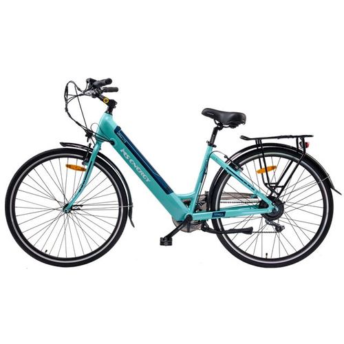 MS ENERGY eBike c10 slika 1