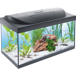 Tetra akvarijum Start Line LED Tank 54 l